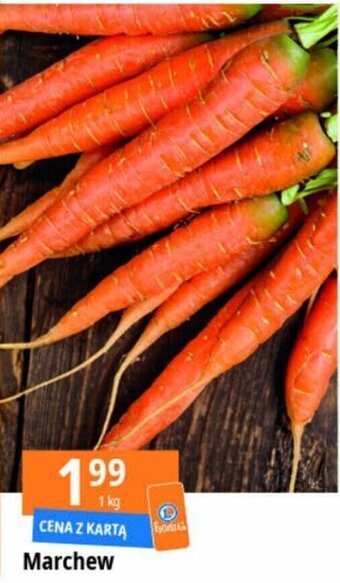 E.Leclerc Marchew 1kg oferta