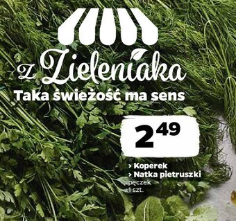 Netto Koperek oferta