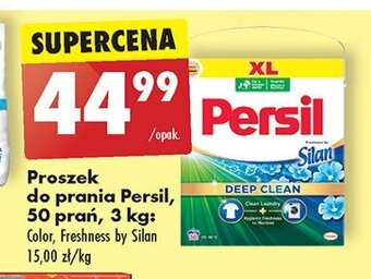 Biedronka Proszek do prania color oferta
