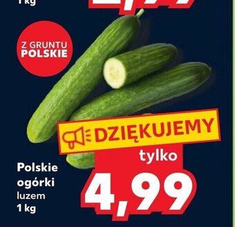 Kaufland Polskie ogórki luzem 1 kg oferta