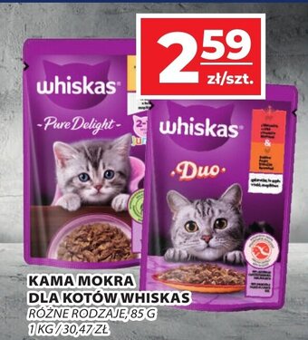 Top Market KAMA MOKRA DLA KOTÓW WHISKAS RÓŻNE RODZAJE, 85 G oferta