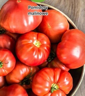 Passa Pomidory oferta