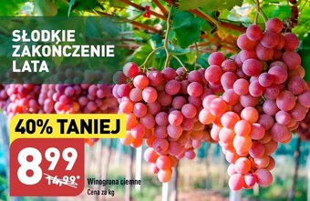 ALDI Winogrona oferta
