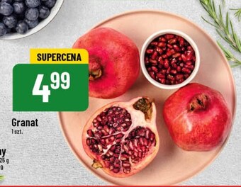 Polomarket Granat oferta