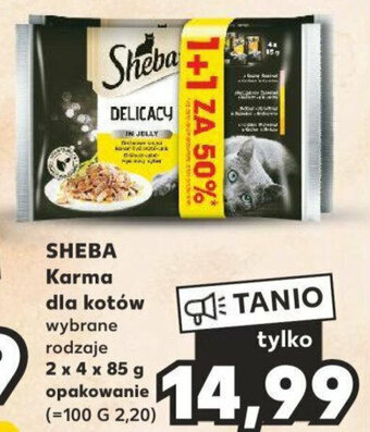 Kaufland SHEBA Karma dla kotów 2 x 4 x 85 g oferta