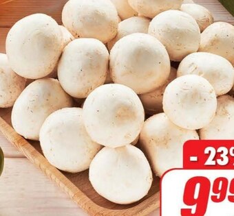 Dino Pieczarki oferta