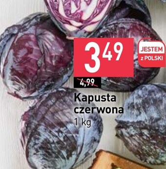 Stokrotka Market Kapusta czerwona oferta