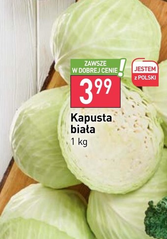 Stokrotka Kapusta biała oferta