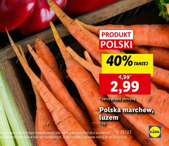Lidl Polska marchew 1 kg oferta
