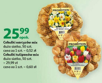 Auchan Cebulki narcyzów mix duża siatka, 50 szt. Cebulki tulipanów mix duża siatka, 50 szt. oferta