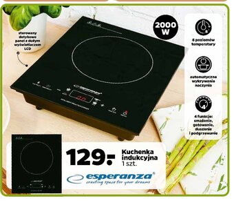 Netto Kuchenka indukcyjna 2000 w oferta