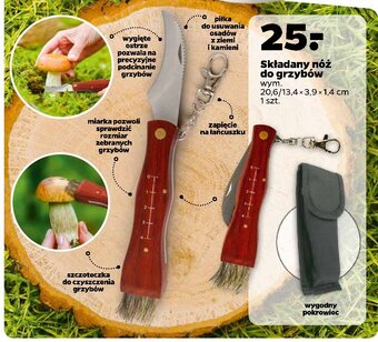 Netto Nóż do grzybów oferta