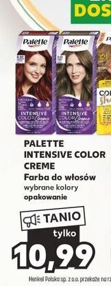 Kaufland Farba do włosów średni blond 6 oferta