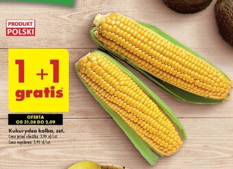 Biedronka Kukurydza kolba oferta