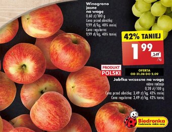 Biedronka Jabłka wczesne 1kg oferta