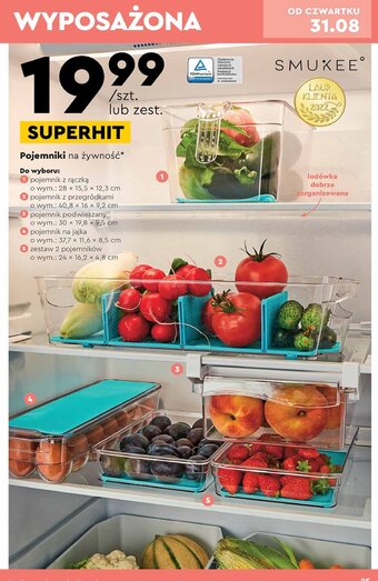 Biedronka Pojemnik z przegródkami 40.8 x 16 x 9.2 cm oferta
