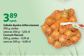 Czosnek harnaś