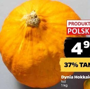 Netto Dynia oferta