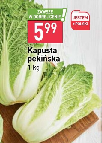 Stokrotka Market Kapusta pekińska oferta