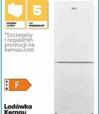 Max Elektro Lodówka kernau oferta