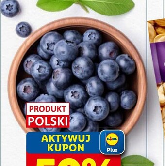 Lidl Borówki oferta