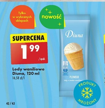 Biedronka Lody waniliowe oferta