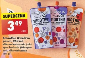 Biedronka Smoothie Owolovo pouch 250 ml oferta