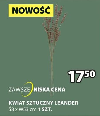 JYSK Kwiat sztuczny leander oferta