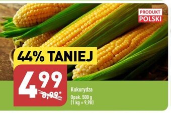 ALDI Kukurydza 500 g oferta