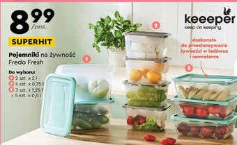 Biedronka Pojemniki na żywność Fredo Fresh oferta