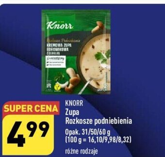 ALDI Zupa Rozkosze podniebienia 31/50/60 g oferta