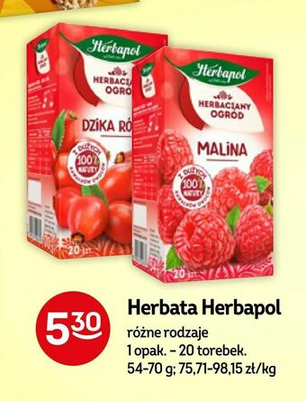 Żabka Herbata Herbapol oferta