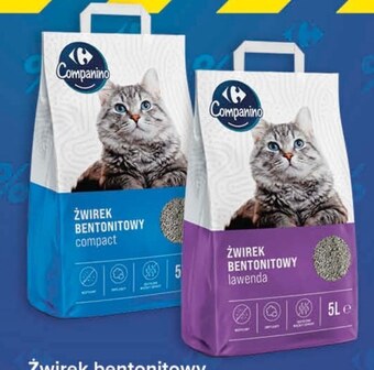 Carrefour Żwirek bentonitowy carrefour oferta