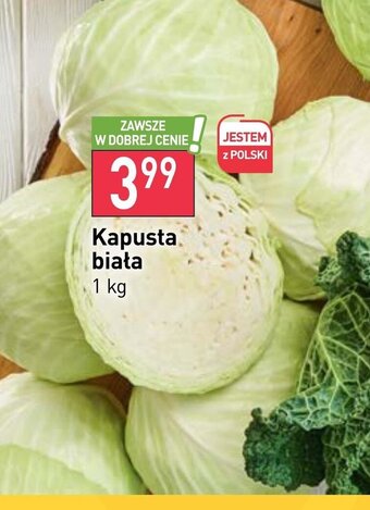Stokrotka Kapusta biała 1 kg oferta