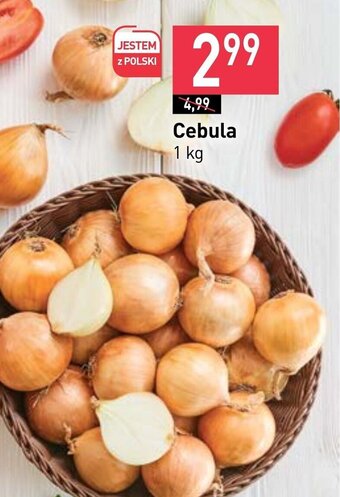 Stokrotka Cebula 1 kg oferta