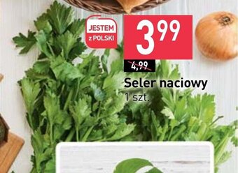 Stokrotka Seler naciowy 1 szt. oferta