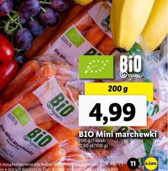 Lidl BIO Mini marchewki 200 g oferta