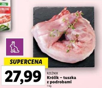 Lidl Królik - tuszka z podrobami 1 kg oferta