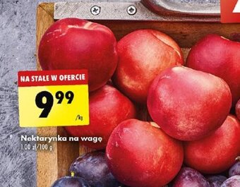 Biedronka Nektarynka 1kg oferta