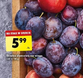 Biedronka Śliwka domowa 1kg oferta