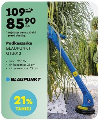 Biedronka BLAUPUNKT Podkaszarka oferta