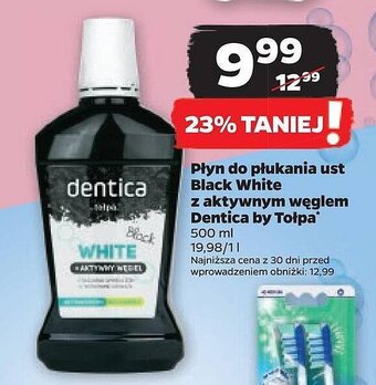 Netto Płyn do płukania ust black white oferta