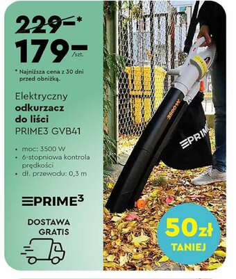 Biedronka Odkurzacz do liści gvb41 oferta