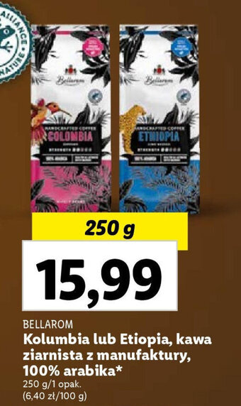 Lidl Kolumbia lub Etiopia, kawa ziarnista z manufaktury, 100% arabika 250 g oferta