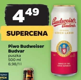 Netto Piwo Budweiser Budvar puszka 500 ml oferta
