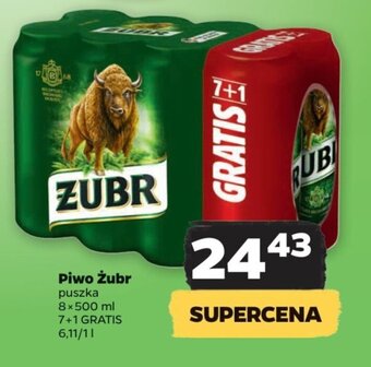 Netto Piwo Żubr puszka 8x500 ml oferta