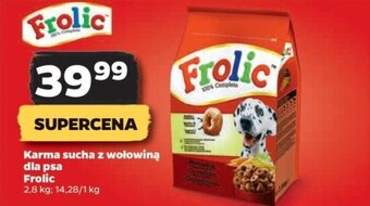 Netto Karma sucha z wołowiną dla psa Frolic 2,8 kg oferta