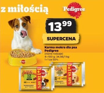 Netto Karma mokra dla psa Pedigree 4x100 g oferta