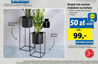 Lidl Stojak lub zestaw stojaków na kwiaty oferta