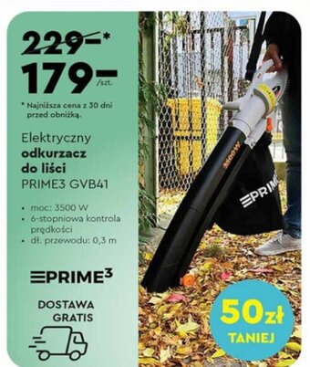 Biedronka Elektryczny odkurzacz do liści PRIME3 GVB41 oferta
